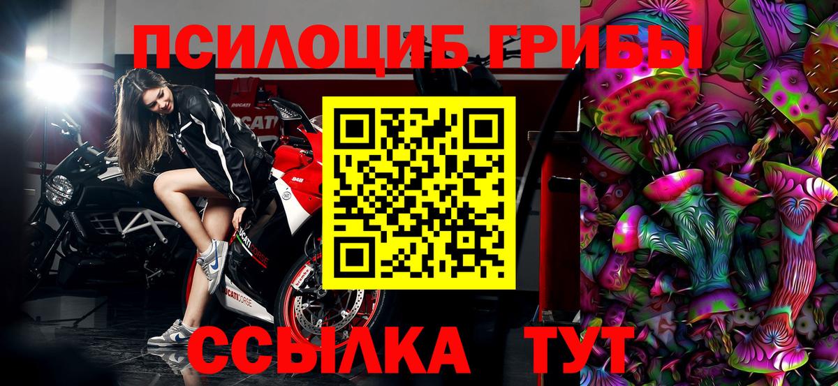 Шадринск  Псилоцибиновые грибы GOLDEN TEACHER  Вход с VPN 